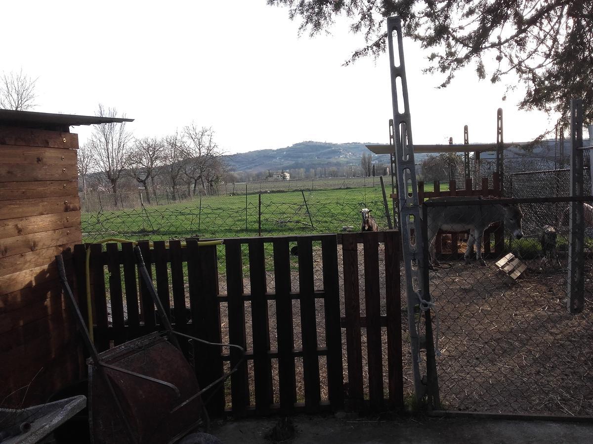 B&B La Quiete Foligno Dış mekan fotoğraf